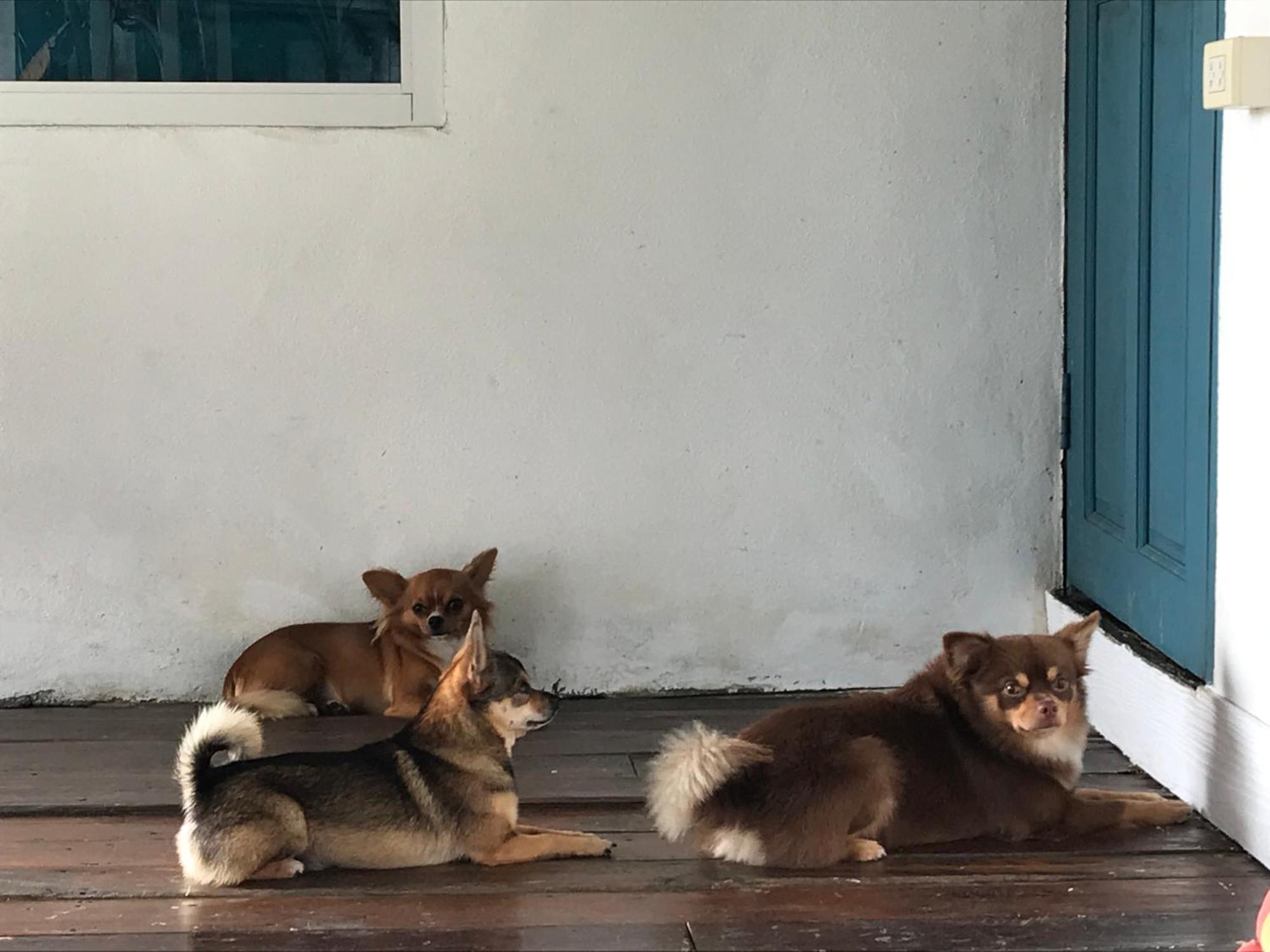 Ban Narai River Guesthouse Chiang Mai Exteriör bild